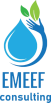 emeef consulting