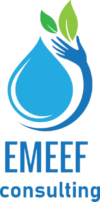 emeef consulting